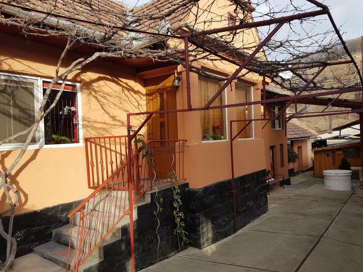 Casa De Oaspeti Morii 22 Malancrav Εξωτερικό φωτογραφία